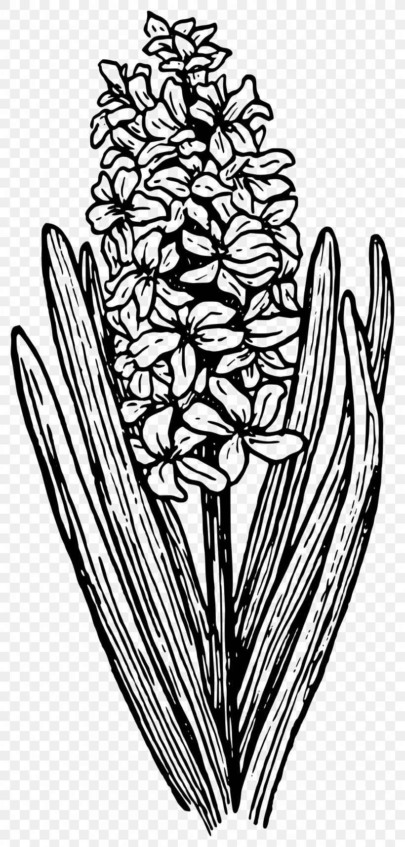 Drawing Clip Art, PNG, 1147x2400px, Drawing, Art, Artwork, Black And White, Branch Download Free