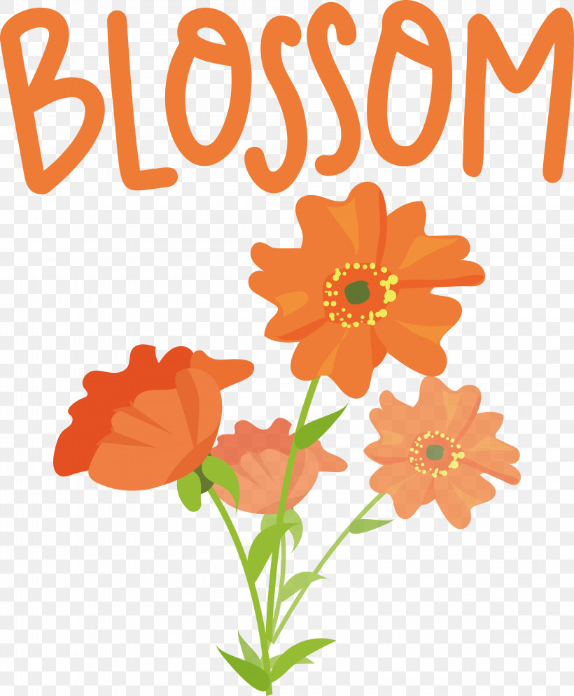 Flower Drawing Cut Flowers Paper Petal, PNG, 4214x5117px, Flower, Cut Flowers, Drawing, Painting, Paper Download Free