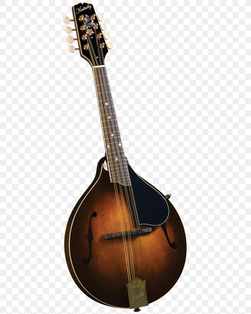 Mandolin Musical Instruments Sunburst Fingerboard Bluegrass, PNG, 645x1024px, Watercolor, Cartoon, Flower, Frame, Heart Download Free