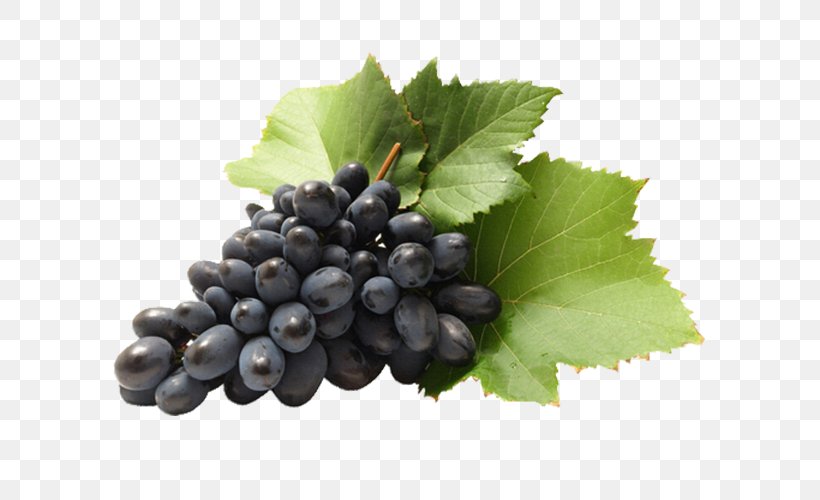 Sultana Grape Wine Cabernet Sauvignon Seedless Fruit, PNG, 600x500px, Sultana, Berry, Bilberry, Blackcurrant, Blueberry Download Free