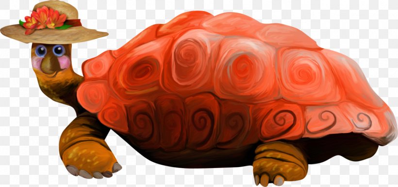 Tortoise Pond Turtles, PNG, 1280x602px, Tortoise, Animal, Cartoon, Emydidae, Organism Download Free