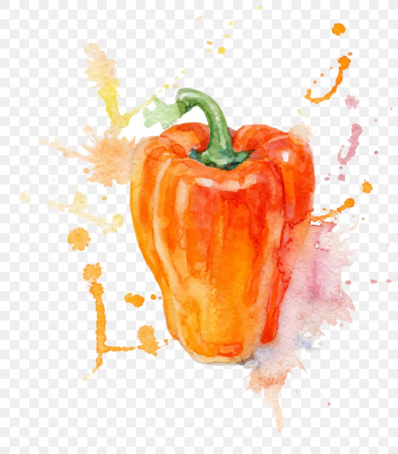 Watercolor Painting Vegetable Illustration, PNG, 1231x1404px, Watercolor Painting, Art, Bell Pepper, Bell Peppers And Chili Peppers, Capsicum Annuum Download Free
