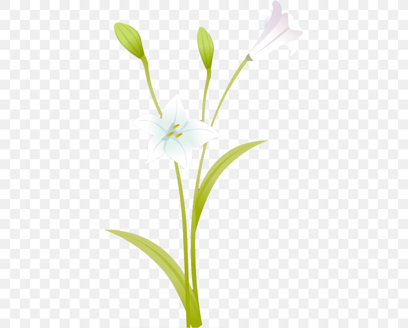 Cut Flowers Plant Stem Petal Clip Art, PNG, 398x659px, Flower, Cut Flowers, Flora, Flowering Plant, Frangipani Download Free