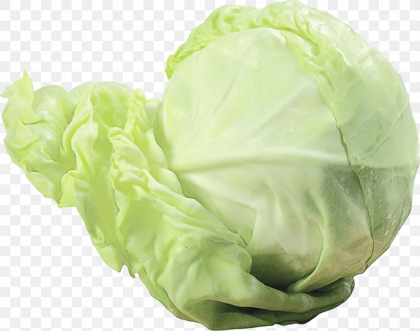 Green Leaf Background, PNG, 2995x2361px, Cabbage, Cabbage Roll, Cauliflower, Chinese Cabbage, Collard Download Free