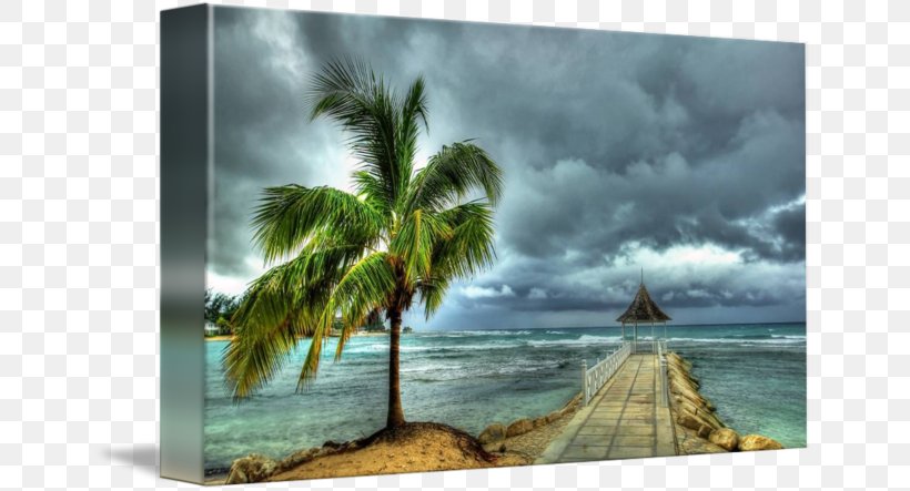 Half Moon Bay Caribbean Gallery Wrap Picture Frames Painting, PNG, 650x443px, Half Moon Bay, Arecales, Canvas, Caribbean, Computer Download Free