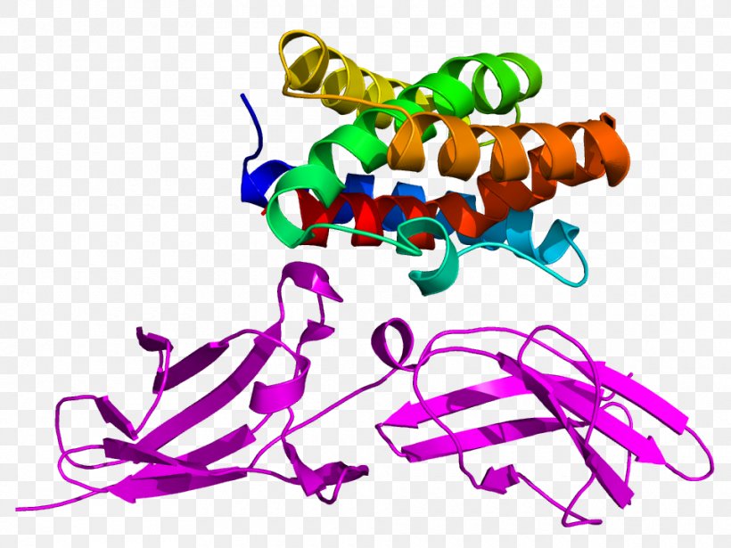 Interleukin 22 Interleukin 10 Interleukin-2 Protein, PNG, 960x720px, Interleukin 22, Animal Figure, Area, Art, Artwork Download Free