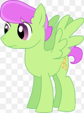 April Shower - Pony Horse Flowering Plant Clip Art PNG