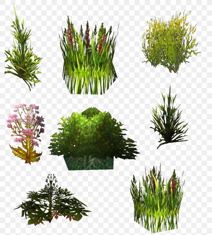 Texture Mapping Plant World Of Warcraft Shrub, PNG, 1124x1244px, Texture Mapping, Alpha Channel, Aquarium Decor, Computer Software, Digital Image Download Free
