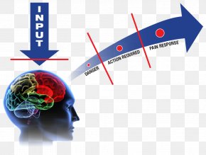 Low Back Pain - The Male Brain Back Pain Pain Management Pain Therapy Associates PNG