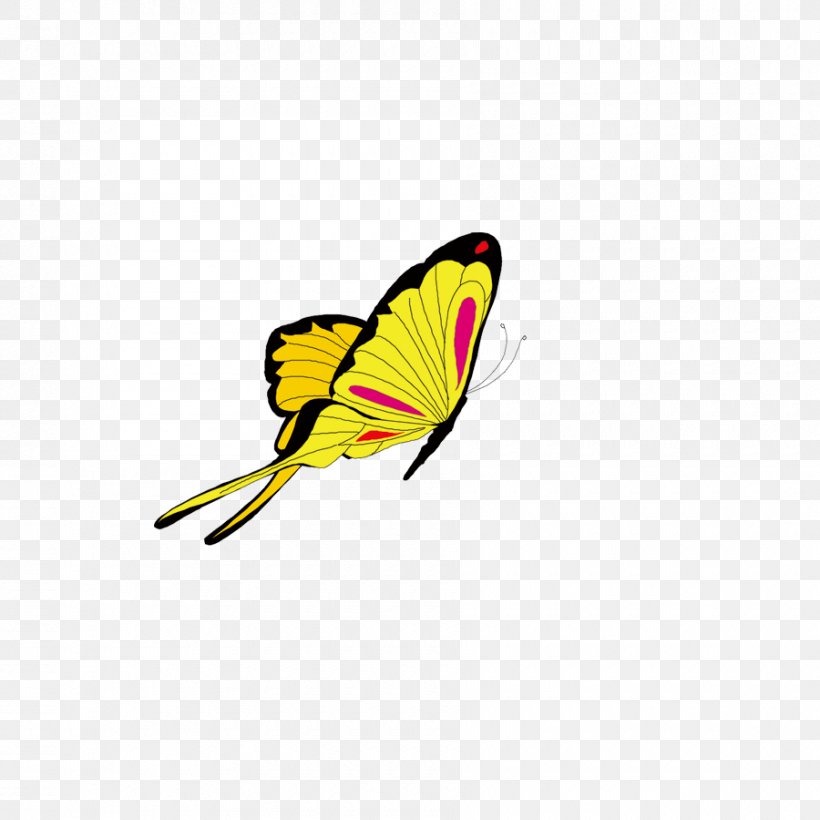 Animation Clip Art, PNG, 900x900px, Animation, Blog, Brush Footed Butterfly, Butterfly, Cartoon Download Free