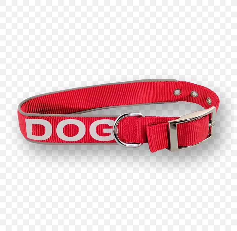 Belt Dog Collar Buckle, PNG, 800x800px, Belt, Belt Buckle, Belt Buckles, Buckle, Collar Download Free