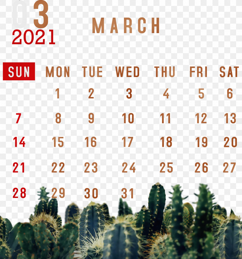 Cactus, PNG, 2802x3000px, 2021 Calendar, March 2021 Printable Calendar, Aesthetics, Barrel Cactus, Cactus Download Free