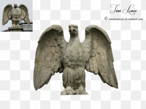 Eagle Statue - Eagle Fauna Beak PNG