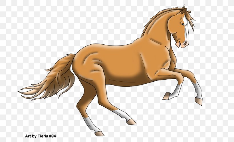 Mane Foal Stallion Colt Mare, PNG, 700x496px, Mane, Animal Figure, Bridle, Colt, English Riding Download Free