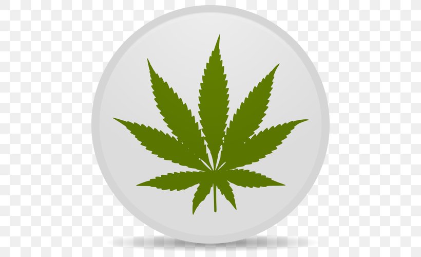 Medical Cannabis Cannabidiol Cannabis Smoking, PNG, 500x500px, Cannabis, Bong, Cannabidiol, Cannabis Sativa, Cannabis Smoking Download Free