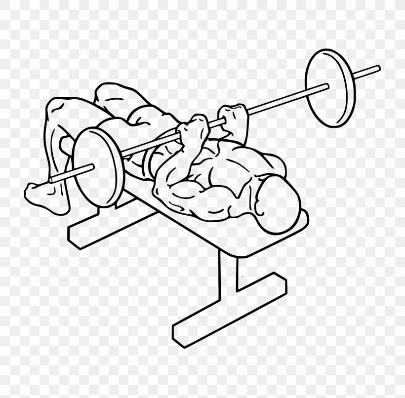Bench Press Triceps Brachii Muscle Exercise Lying Triceps Extensions, PNG, 1220x1200px, Watercolor, Cartoon, Flower, Frame, Heart Download Free