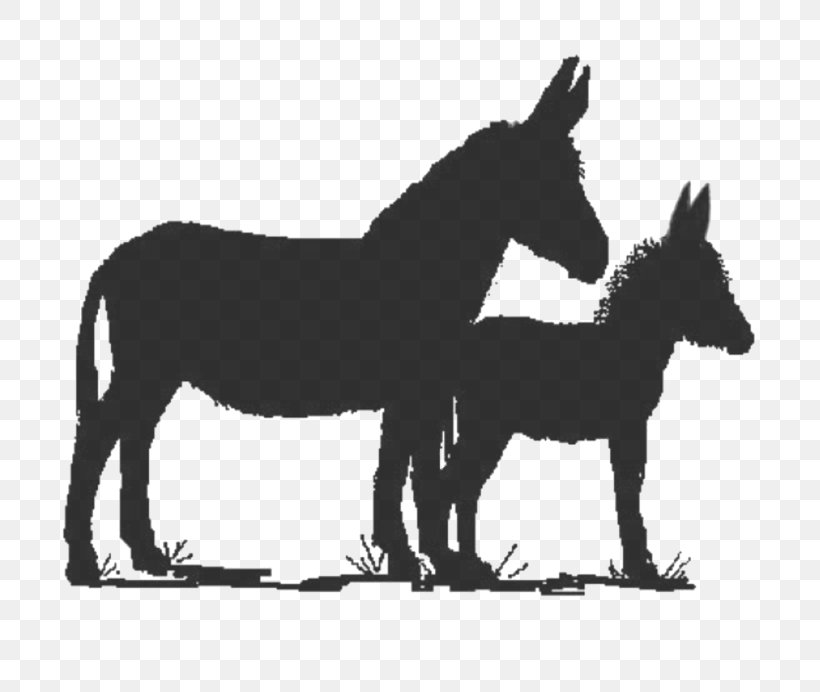Mule Stallion Foal Mare Donkey, PNG, 754x692px, Mule, Black And White, Donkey, Donkeys In North America, Drawing Download Free