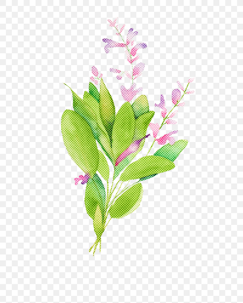 Flower Plant Aquarium Decor Leaf Branch, PNG, 791x1024px, Flower, Aquarium Decor, Branch, Cut Flowers, Leaf Download Free