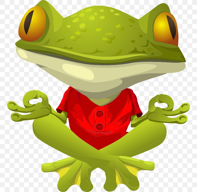 Frog Yoga Clip Art, PNG, 762x800px, Frog, Amphibian, Australian Green Tree Frog, Drawing, Green Download Free