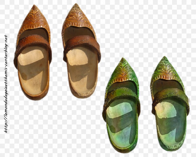 Sandal Shoe, PNG, 1000x800px, Sandal, Footwear, Outdoor Shoe, Shoe Download Free