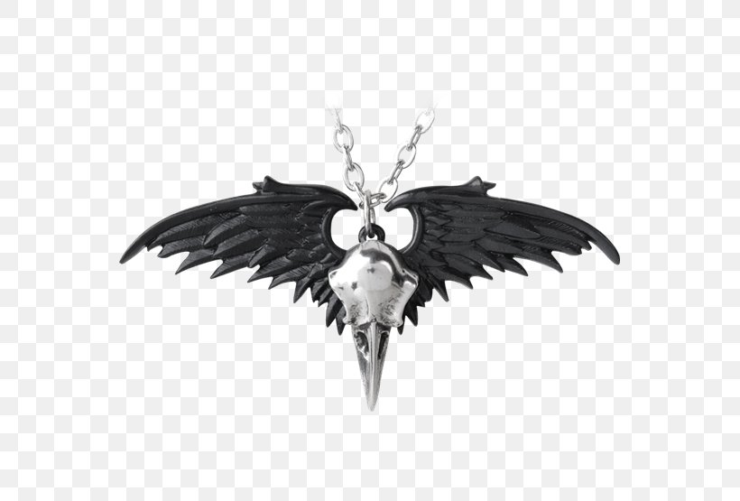 Charms & Pendants The Raven Necklace Jewellery Common Raven, PNG, 555x555px, Charms Pendants, Alchemy Gothic, Body Jewelry, Chain, Common Raven Download Free