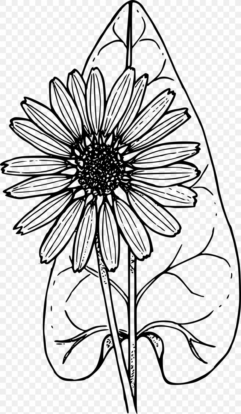 Coloring Book Wildflower Child, PNG, 1119x1920px, Coloring Book, Artwork, Black And White, Book, Child Download Free