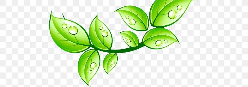 Leaf Aquarius Water And Coffee Service Water Cooler, PNG, 495x288px, Leaf, Aquarius Water And Coffee Service, Coffee, Coffeemaker, Green Download Free