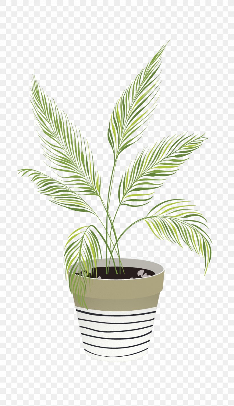 Palm Trees Houseplant Drawing Image Illustration, PNG, 886x1537px, Palm Trees, Arecales, Art, Digital Illustration, Drawing Download Free