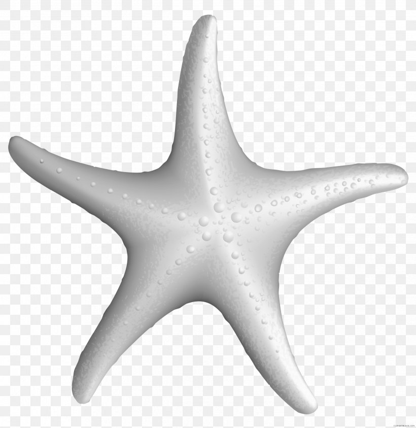 Clip Art Starfish Image Drawing, PNG, 2488x2558px, Starfish, Cartoon, Drawing, Echinoderm, Invertebrate Download Free
