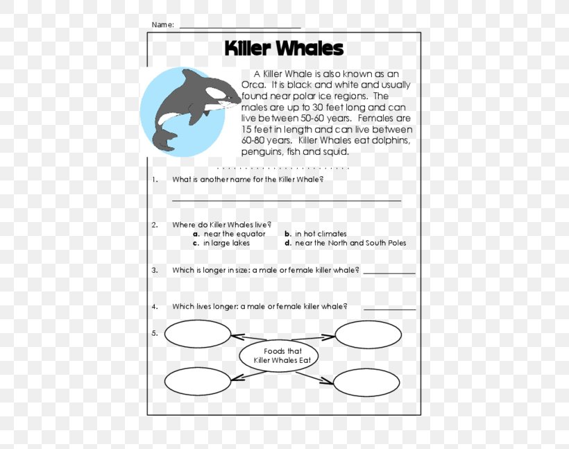 Reading Comprehension Understanding Third Grade Literacy, PNG, 500x647px, Reading Comprehension, Area, Diagram, First Grade, Information Download Free