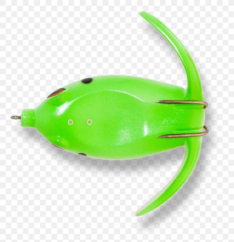 Amphibian Green, PNG, 800x848px, Amphibian, Fishing Baits Lures, Green Download Free