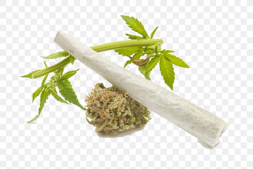 Cannabis Sativa Drug Medical Cannabis Smoking, PNG, 1024x683px, Cannabis, Alternative Medicine, Cannabis Sativa, Cannabis Smoking, Cigarette Download Free