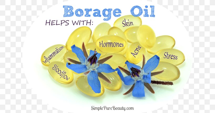 Borage Seed Oil Gamma-Linolenic Acid Food, PNG, 650x432px, Borage Seed Oil, Borage, Common Eveningprimrose, Fatty Acid, Flavor Download Free