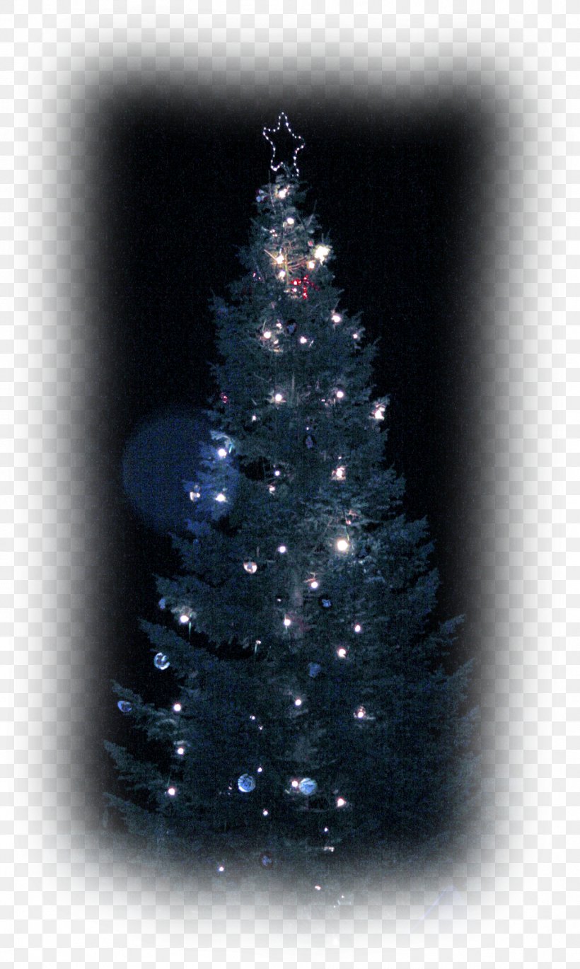 Christmas Tree Spruce Christmas Ornament Fir Pine, PNG, 949x1586px, Christmas Tree, Christmas, Christmas Decoration, Christmas Ornament, Conifer Download Free