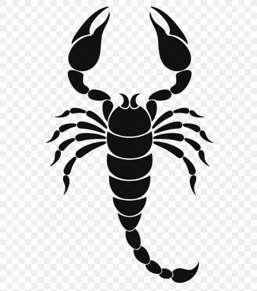 Scorpion Zodiac Astrological Sign Symbol, PNG, 841x950px, Scorpion, Arthropod, Astrological Sign, Astrological Symbols, Astrology Download Free