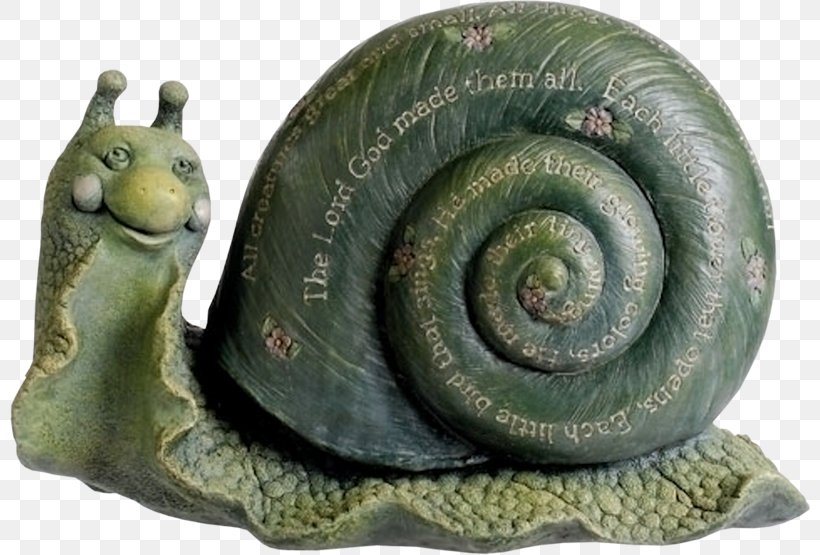Snail Orthogastropoda Clip Art, PNG, 800x555px, 3d Computer Graphics, Snail, Invertebrate, Molluscs, Organism Download Free
