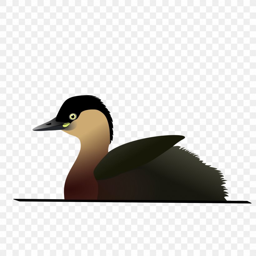 Lake Alaotra Bird Alaotra Grebe Titicaca Grebe Little Grebe, PNG, 1920x1920px, Bird, Beak, Duck, Ducks Geese And Swans, Fauna Download Free