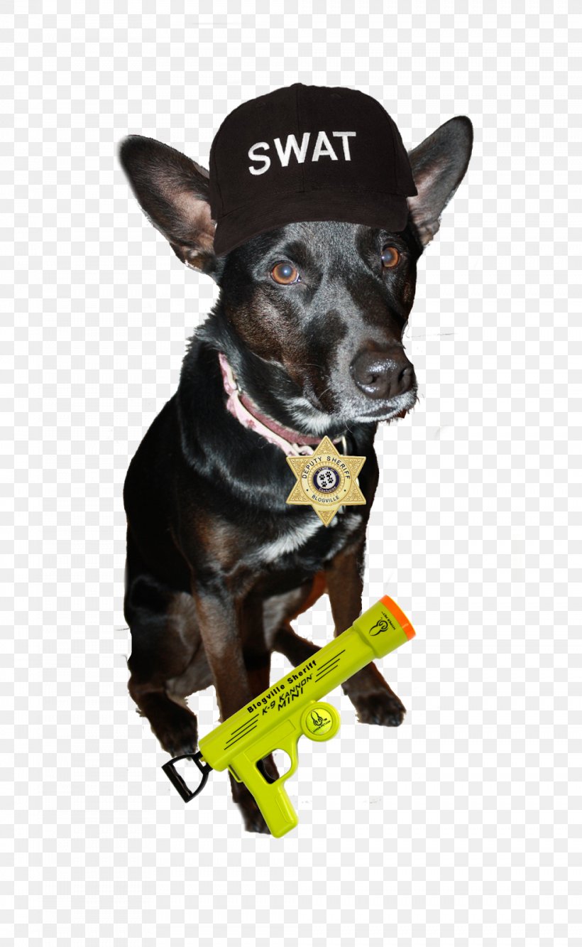 Miniature Pinscher Dog Breed Police Dog Leash, PNG, 984x1600px, Watercolor, Cartoon, Flower, Frame, Heart Download Free