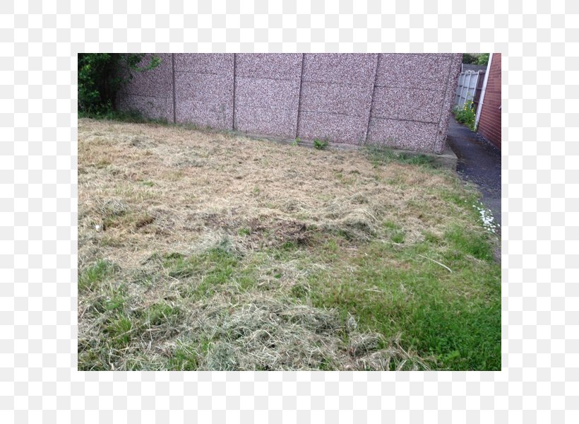 Real Property Lawn Land Lot Grasses, PNG, 600x600px, Property, Area, Backyard, Family, Grass Download Free