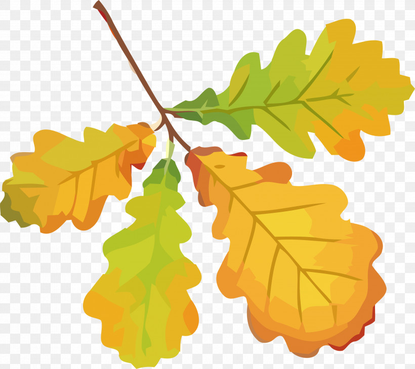 Autumn Leaf Yellow Leaf Leaf, PNG, 3000x2673px, Autumn Leaf, Black Maple, Grape Leaves, Leaf, Plane Download Free