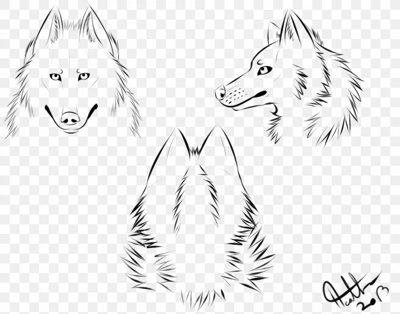 Gray Wolf Snout Drawing Sketch, PNG, 1008x792px, Gray Wolf, Anatomy, Art, Artwork, Black And White Download Free