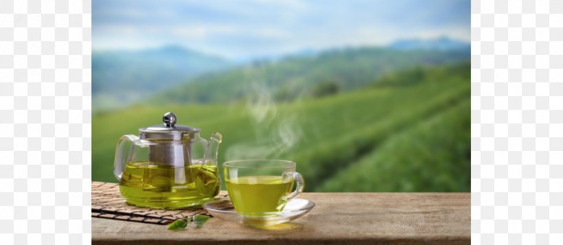 Green Tea Masala Chai Health Breakfast, PNG, 856x373px, Green Tea, Antioxidant, Black Tea, Breakfast, Cafe Download Free