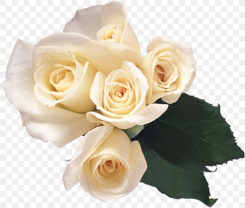 Rose Clip Art, PNG, 930x792px, Rose, Artificial Flower, Cut Flowers, Floral Design, Floristry Download Free