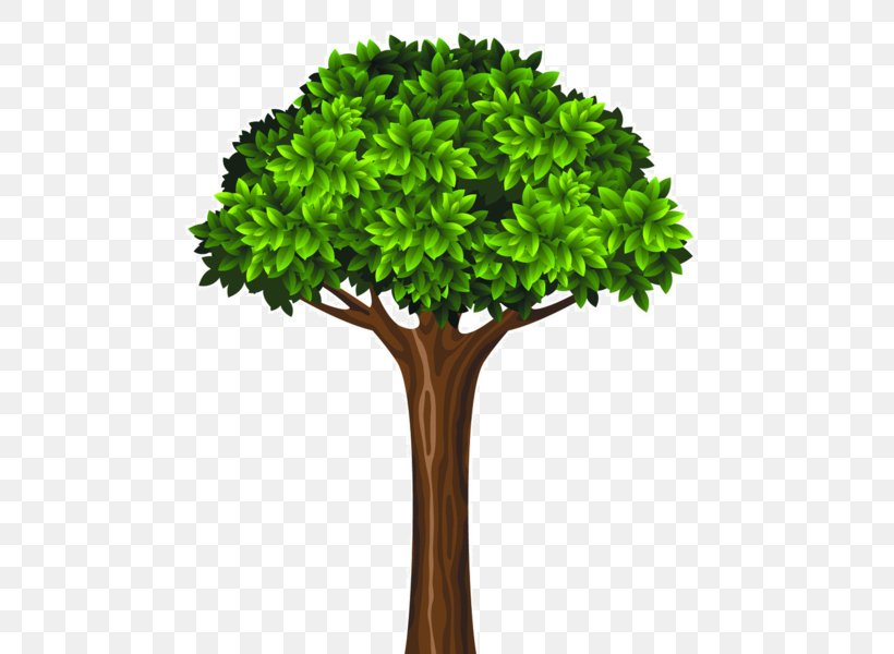Tree Green, PNG, 600x600px, Tree, Cartoon, Color, Flowerpot, Grass Download Free