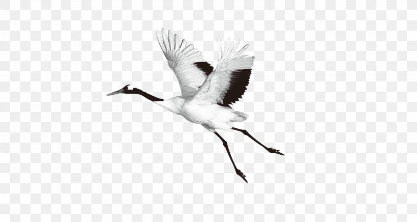 Zhalong Nature Reserve Red-crowned Crane Bird, PNG, 2758x1468px, Zhalong Nature Reserve, Beak, Bird, Black And White, Coreldraw Download Free