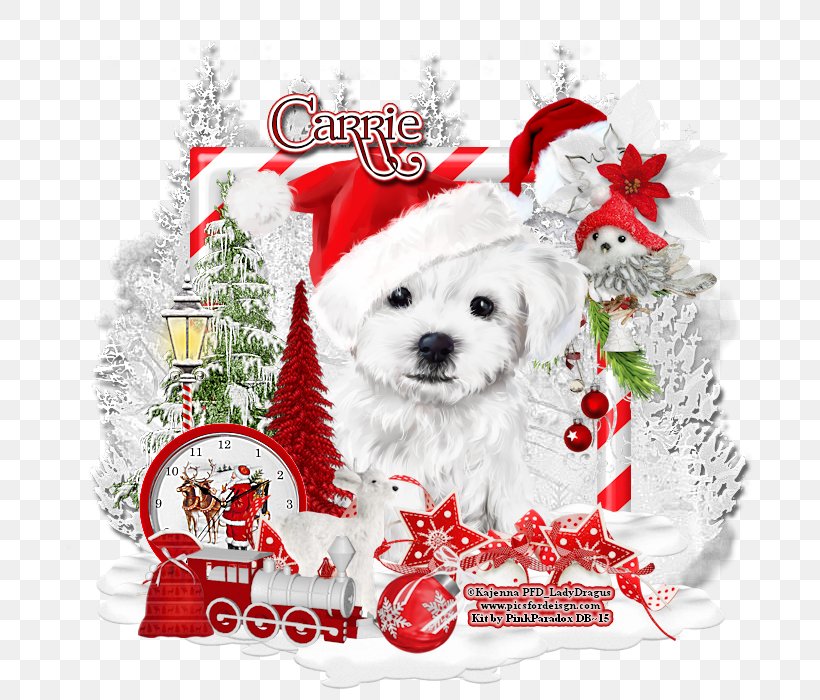 Dog Breed Puppy Companion Dog Christmas, PNG, 700x700px, Dog, Animal, Breed, Canidae, Carnivoran Download Free