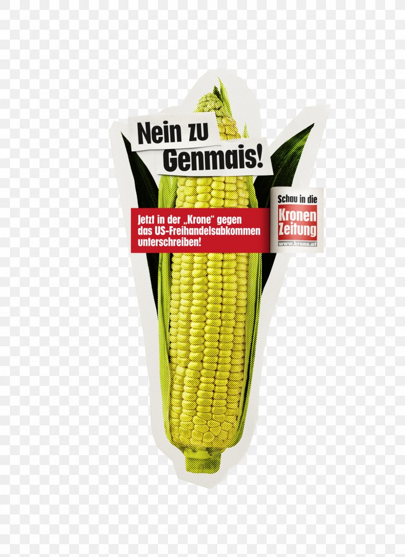Corn On The Cob Commodity Product Maize, PNG, 1334x1832px, Corn On The Cob, Commodity, Food, Maize, Sweet Corn Download Free