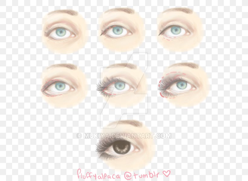 Eyelash Extensions Lip Balm Eye Shadow Eyebrow Eye Liner, PNG, 600x600px, Watercolor, Cartoon, Flower, Frame, Heart Download Free