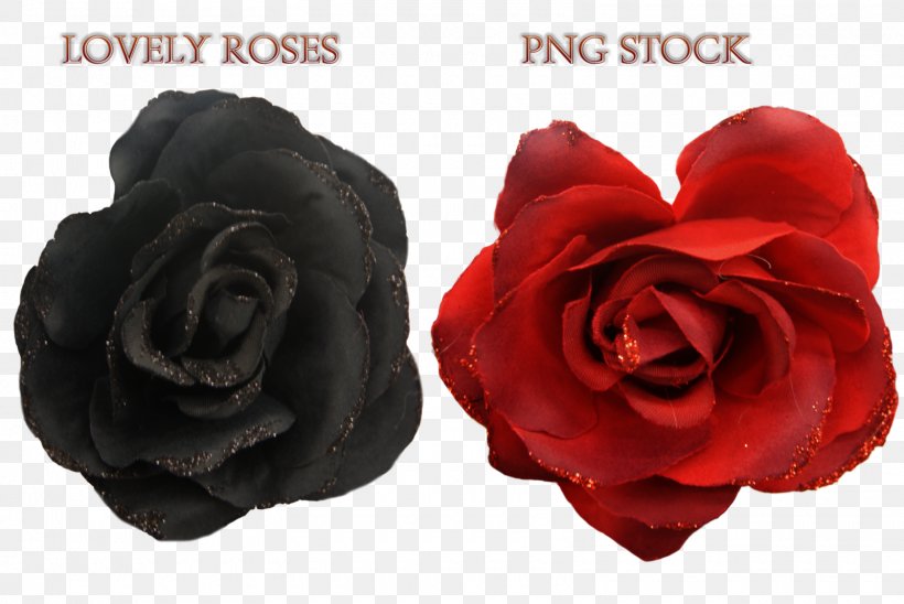 Garden Roses DeviantArt Clip Art, PNG, 1600x1071px, Rose, Art, Artificial Flower, Cut Flowers, Deviantart Download Free