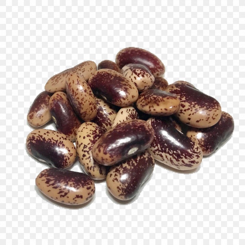 Holland Heirloom Beans Organic Food Heirloom Plant, PNG, 2020x2020px, Holland, Bean, Commodity, Farm, Heirloom Beans Download Free